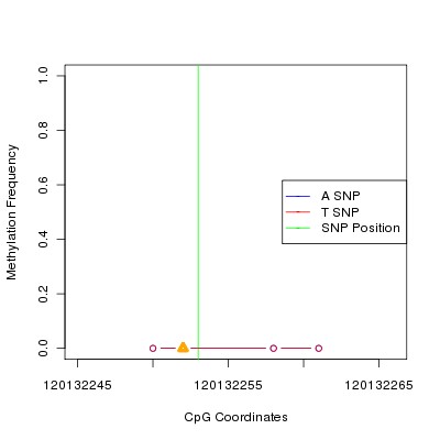 Allele Specific Methylation Frequency Diagram for chr12 120132253 SNP.
