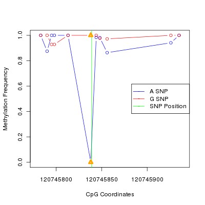 Allele Specific Methylation Frequency Diagram for chr12 120745839 SNP.