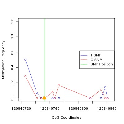 Allele Specific Methylation Frequency Diagram for chr12 120840753 SNP.