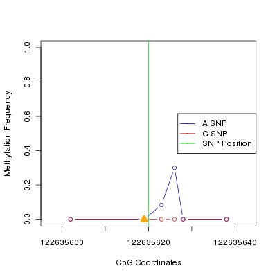 Allele Specific Methylation Frequency Diagram for chr12 122635620 SNP.