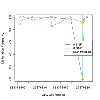 Allele Specific Methylation Frequency Diagram for chr12 123376921 SNP.