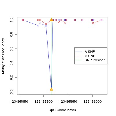 Allele Specific Methylation Frequency Diagram for chr12 123495917 SNP.