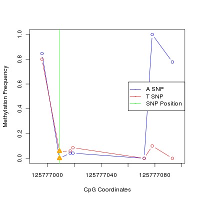 Allele Specific Methylation Frequency Diagram for chr12 125777009 SNP.