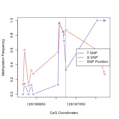 Allele Specific Methylation Frequency Diagram for chr12 126197024 SNP.