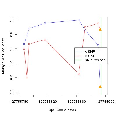 Allele Specific Methylation Frequency Diagram for chr12 127755894 SNP.