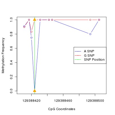 Allele Specific Methylation Frequency Diagram for chr12 129388424 SNP.