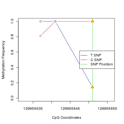 Allele Specific Methylation Frequency Diagram for chr12 129955651 SNP.