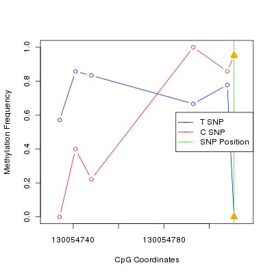 Allele Specific Methylation Frequency Diagram for chr12 130054811 SNP.