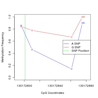 Allele Specific Methylation Frequency Diagram for chr12 130172801 SNP.