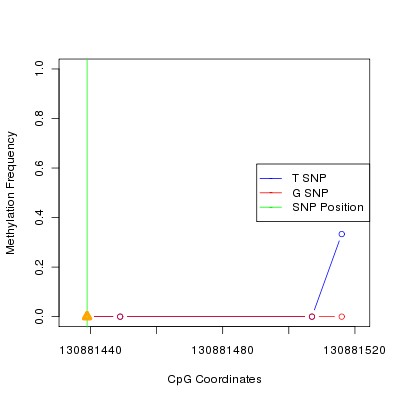 Allele Specific Methylation Frequency Diagram for chr12 130881439 SNP.