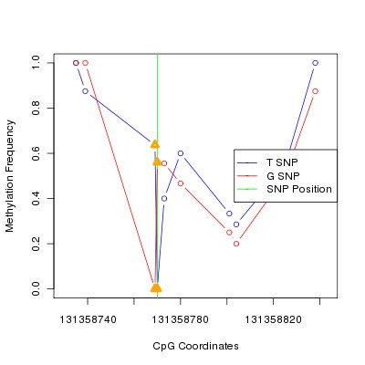 Allele Specific Methylation Frequency Diagram for chr12 131358770 SNP.