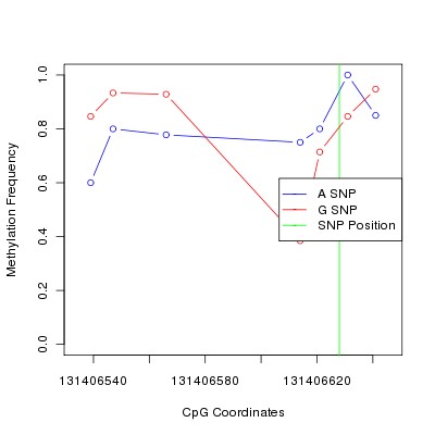 Allele Specific Methylation Frequency Diagram for chr12 131406628 SNP.