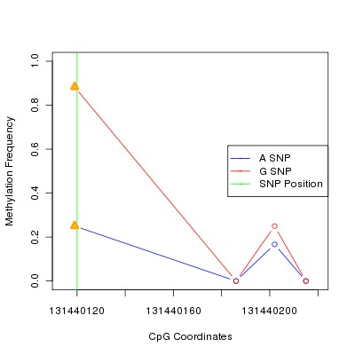 Allele Specific Methylation Frequency Diagram for chr12 131440120 SNP.