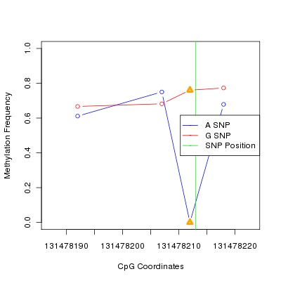 Allele Specific Methylation Frequency Diagram for chr12 131478213 SNP.