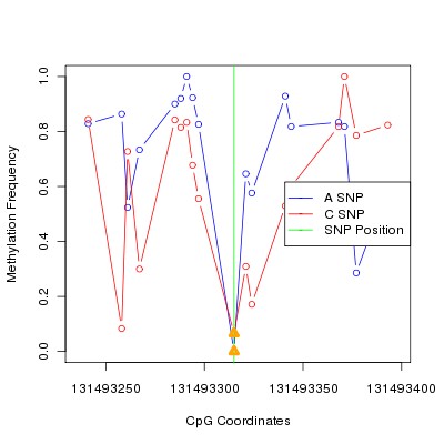 Allele Specific Methylation Frequency Diagram for chr12 131493315 SNP.