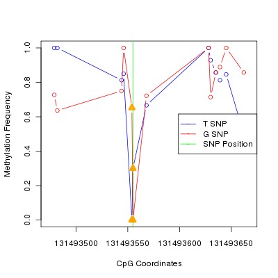 Allele Specific Methylation Frequency Diagram for chr12 131493555 SNP.