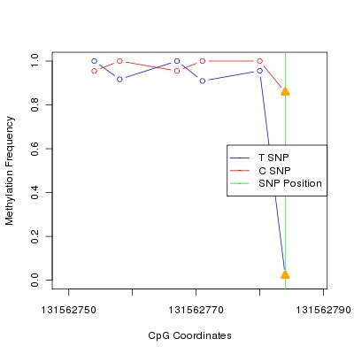 Allele Specific Methylation Frequency Diagram for chr12 131562784 SNP.