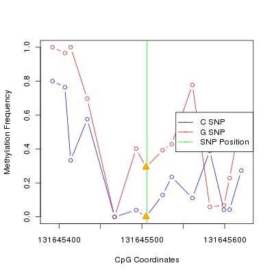 Allele Specific Methylation Frequency Diagram for chr12 131645506 SNP.