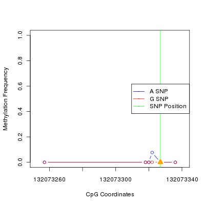 Allele Specific Methylation Frequency Diagram for chr12 132073327 SNP.