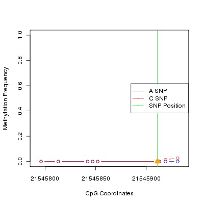 Allele Specific Methylation Frequency Diagram for chr12 21545911 SNP.