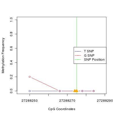 Allele Specific Methylation Frequency Diagram for chr12 27288275 SNP.