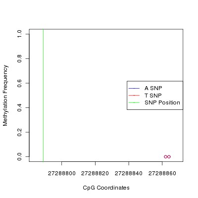 Allele Specific Methylation Frequency Diagram for chr12 27288789 SNP.