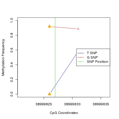 Allele Specific Methylation Frequency Diagram for chr12 38999827 SNP.