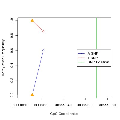 Allele Specific Methylation Frequency Diagram for chr12 38999855 SNP.