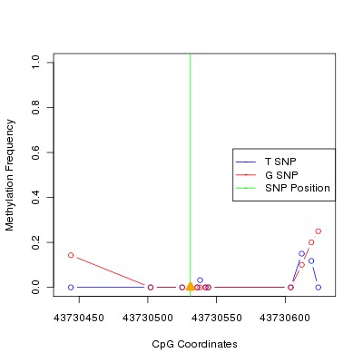 Allele Specific Methylation Frequency Diagram for chr12 43730531 SNP.