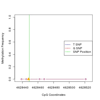 Allele Specific Methylation Frequency Diagram for chr12 4628449 SNP.