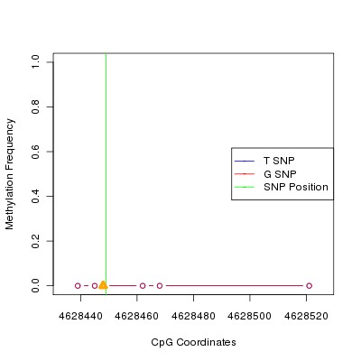 Allele Specific Methylation Frequency Diagram for chr12 4628449 SNP.