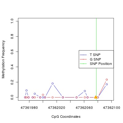 Allele Specific Methylation Frequency Diagram for chr12 47362078 SNP.