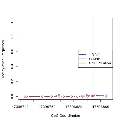 Allele Specific Methylation Frequency Diagram for chr12 47396849 SNP.