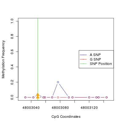 Allele Specific Methylation Frequency Diagram for chr12 48003049 SNP.