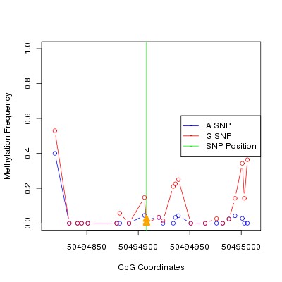 Allele Specific Methylation Frequency Diagram for chr12 50494908 SNP.