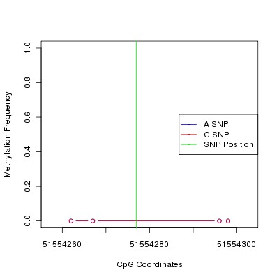 Allele Specific Methylation Frequency Diagram for chr12 51554277 SNP.