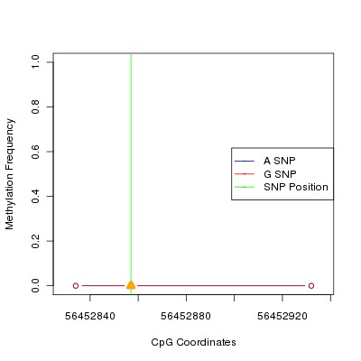 Allele Specific Methylation Frequency Diagram for chr12 56452857 SNP.