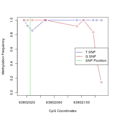 Allele Specific Methylation Frequency Diagram for chr12 63802025 SNP.