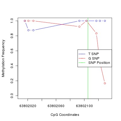 Allele Specific Methylation Frequency Diagram for chr12 63802105 SNP.