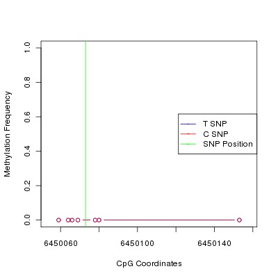 Allele Specific Methylation Frequency Diagram for chr12 6450073 SNP.