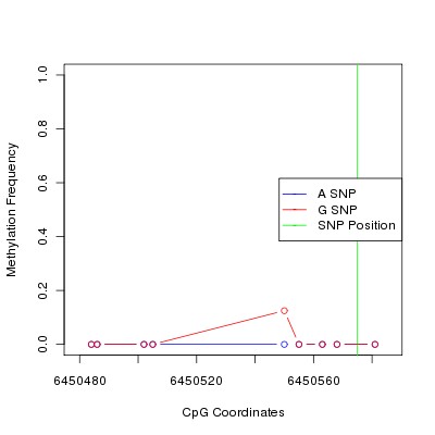 Allele Specific Methylation Frequency Diagram for chr12 6450575 SNP.
