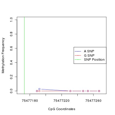 Allele Specific Methylation Frequency Diagram for chr12 75477173 SNP.