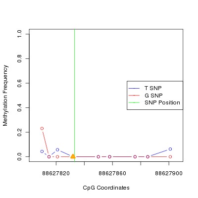 Allele Specific Methylation Frequency Diagram for chr12 88627833 SNP.