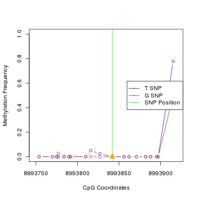 Allele Specific Methylation Frequency Diagram for chr12 8993842 SNP.