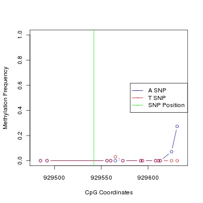 Allele Specific Methylation Frequency Diagram for chr12 929542 SNP.