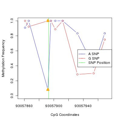 Allele Specific Methylation Frequency Diagram for chr12 93057893 SNP.