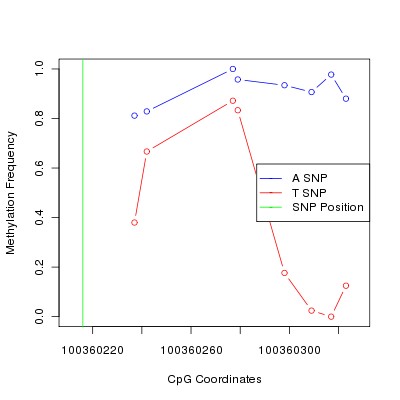 Allele Specific Methylation Frequency Diagram for chr14 100360216 SNP.