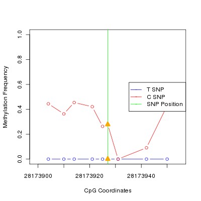 Allele Specific Methylation Frequency Diagram for chr17 28173927 SNP.