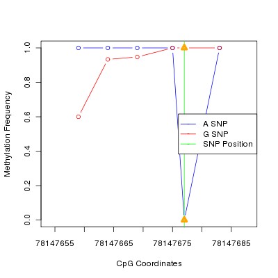 Allele Specific Methylation Frequency Diagram for chr17 78147677 SNP.