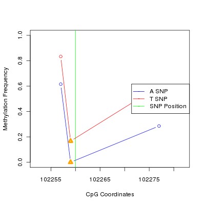 Allele Specific Methylation Frequency Diagram for chr18 102260 SNP.